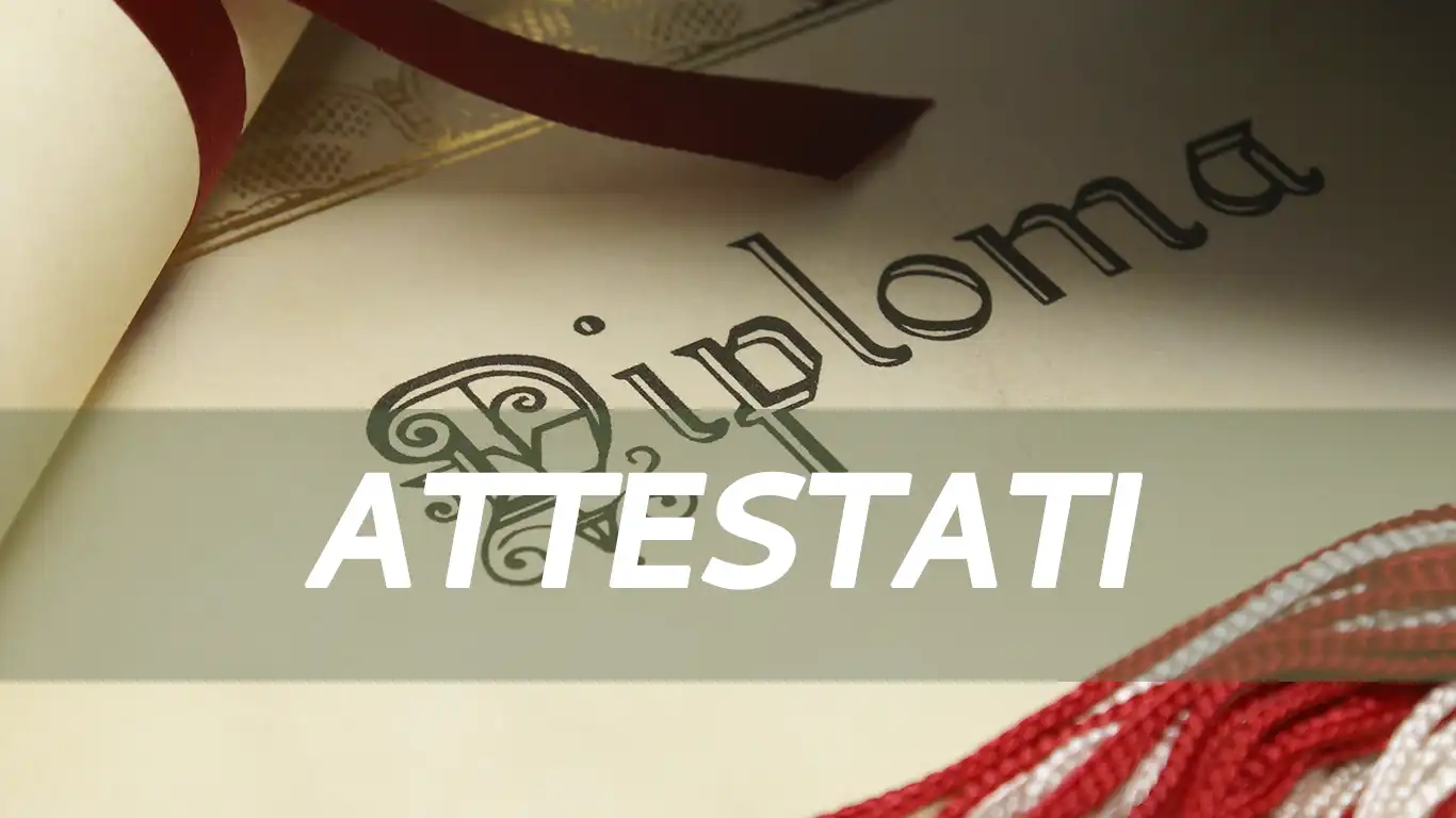 Attestati dello Studio Vasinton